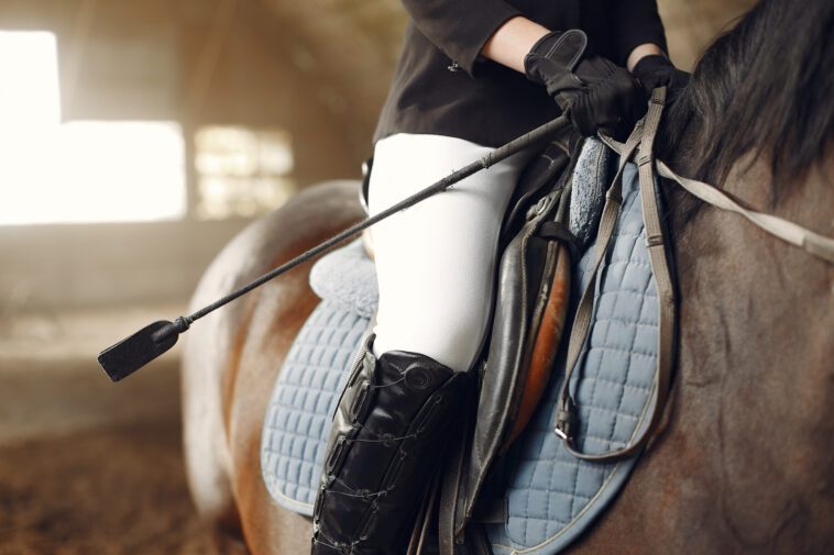 5 équipements essentiels pour réussir à l'équitation - Animaniacs