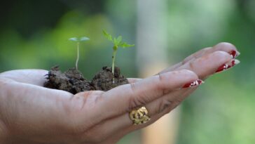 découvrez le processus de renouvellement, un moyen essentiel pour revitaliser vos engagements et réinventer vos perspectives. que ce soit pour un contrat, un abonnement ou une licence, apprenez comment maximiser les bénéfices de votre renouvellement.