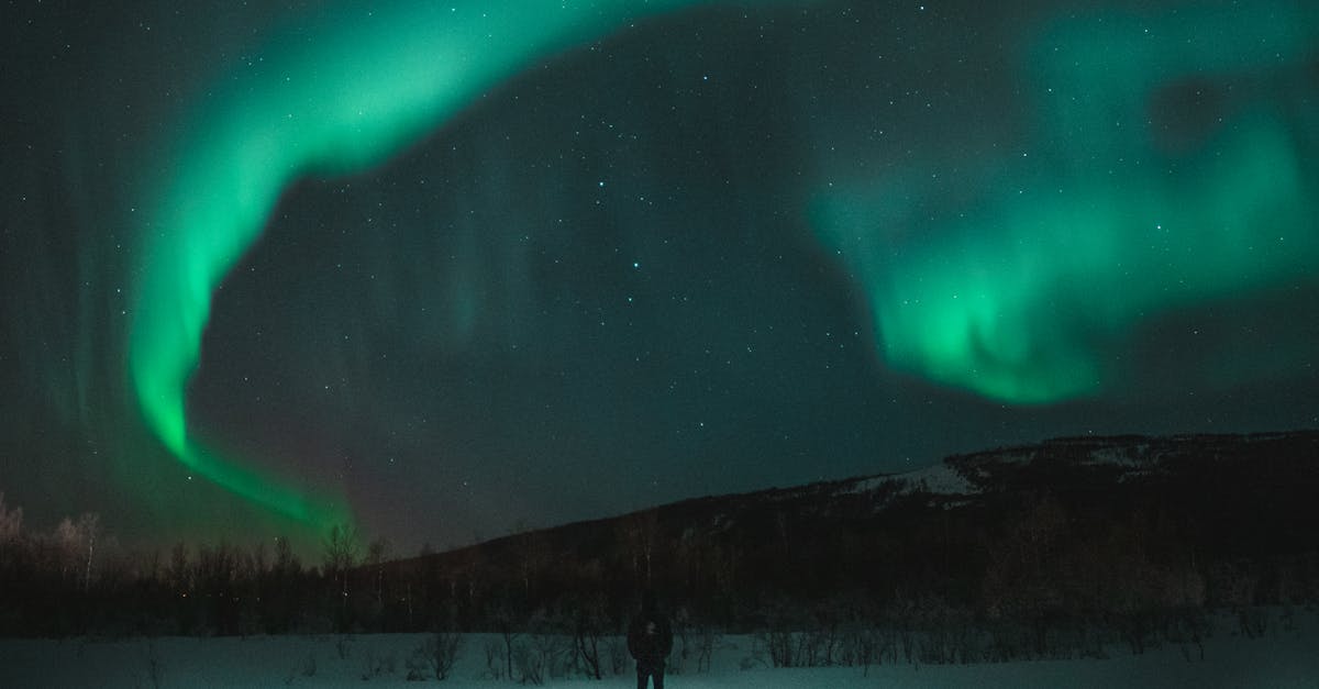 découvrez l'astrologie, un art ancien qui explore l'influence des astres sur notre vie quotidienne. apprenez à interpréter votre thème astral, à comprendre les signes du zodiaque et à utiliser ces connaissances pour mieux naviguer dans votre existence. embarquez pour un voyage fascinant à travers les étoiles.